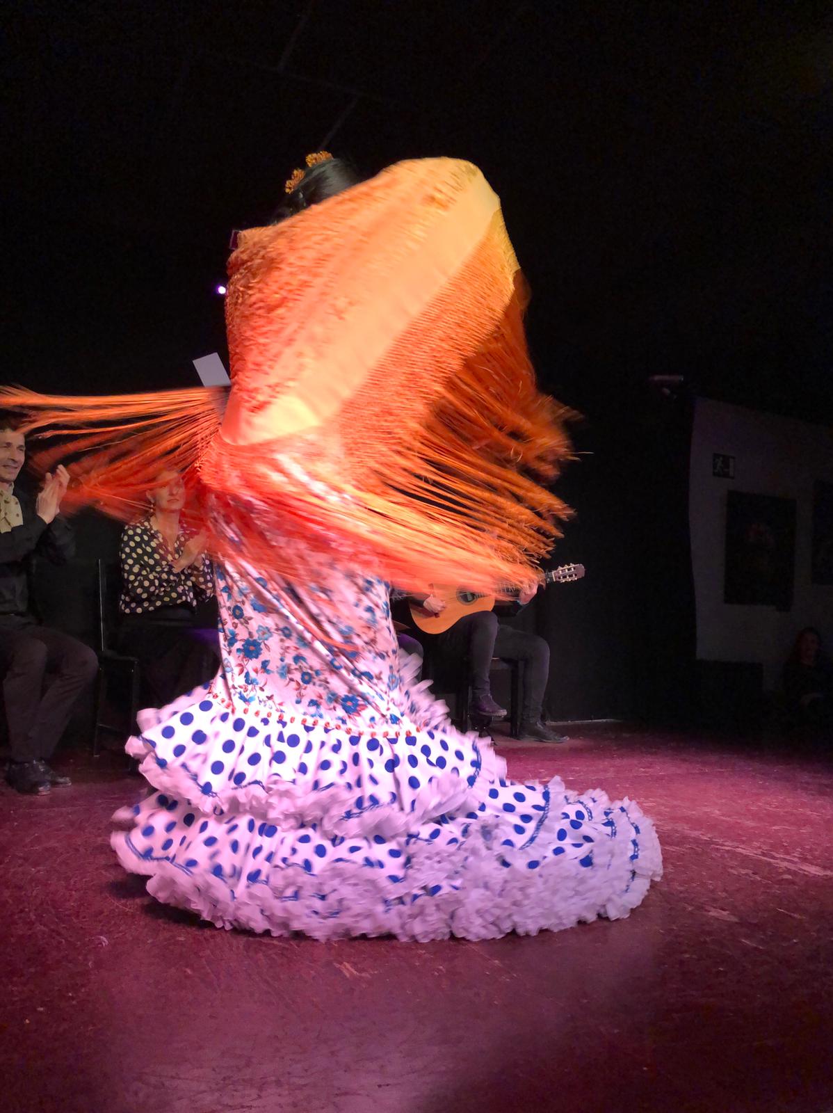 Madrid flamenco show