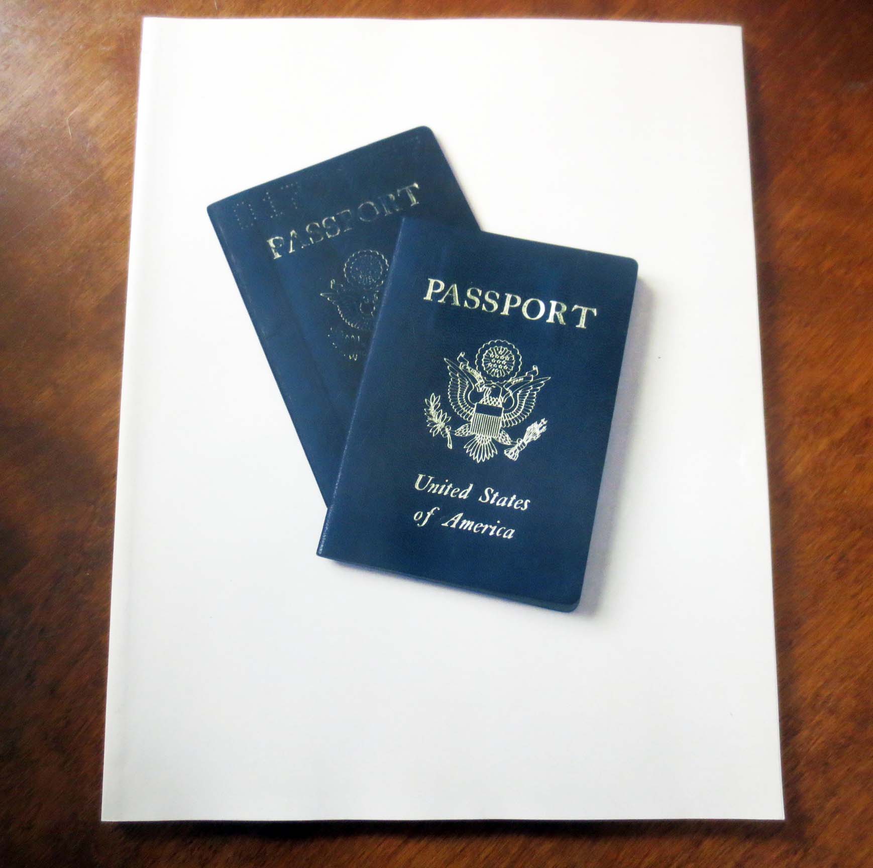 passports educational travel