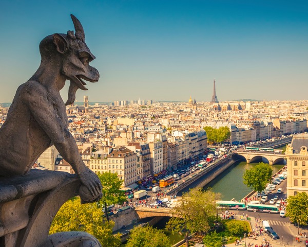 Notre-Dame Gargoyle